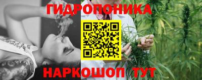 ALPHA-PVP Партизанск