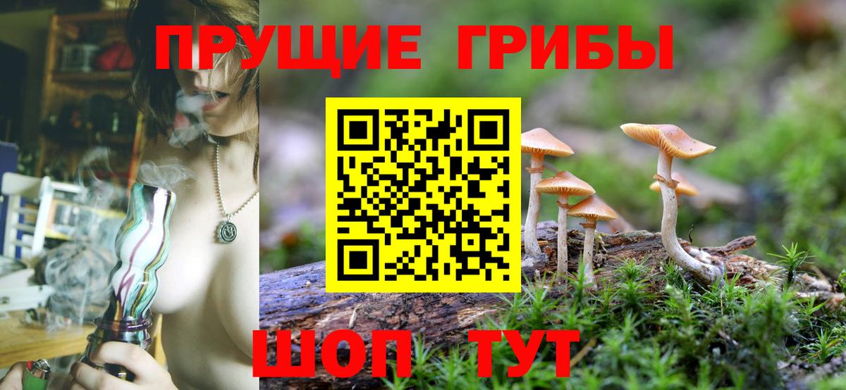Псилоцибиновые грибы прущие грибы Сызрань