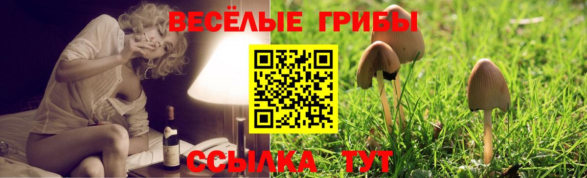 Галлюциногенные грибы Cubensis  Вход с VPN  Сызрань 